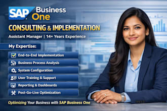 provide expert sap b1 consulting, implementation, and support
