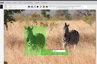 do keypoint, bounding boxes and mask segmentation annotation
