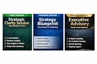 provide business consulting for startups