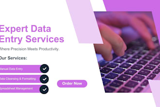do accurate data entry, copy paste and excel data entry