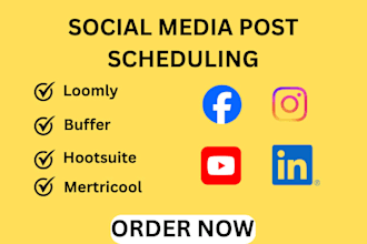 set up schedule and manage posts using buffer hootsuite loomly and metricool