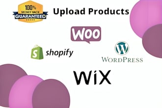 upload products on your website with accuracy