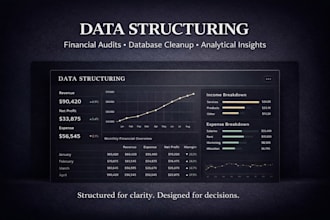provide executive excel data structuring, cleanup, and analysis