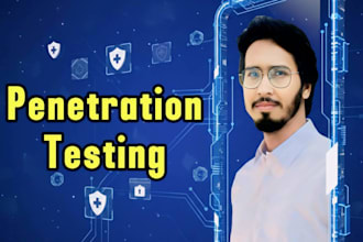 penetration test your website with professional report