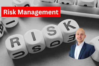 implement a professional risk management system