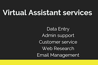 do fast and accurate data entry and virtual assistant tasks