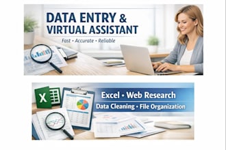 do fast and accurate data entry and virtual assistant tasks