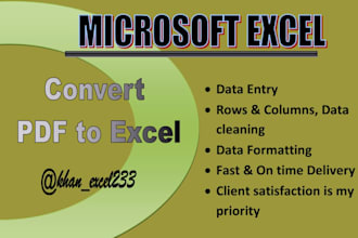 convert PDF to excel and data clean, format
