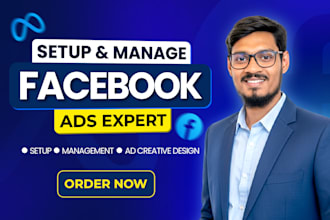 setup facebook pixel, conversion API and run fb ads campaign