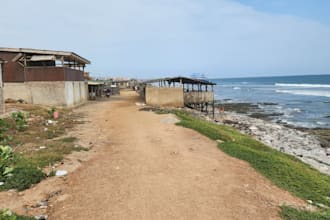 gladly help you run errands in accra