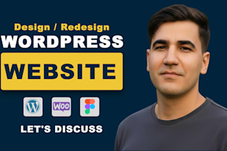 professional wordpress web developer