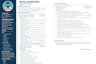 design a professional CV or resume