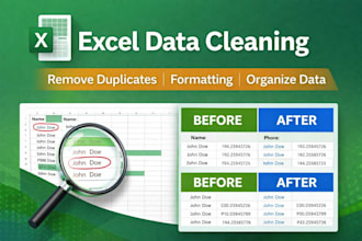 clean and organize excel data accurately
