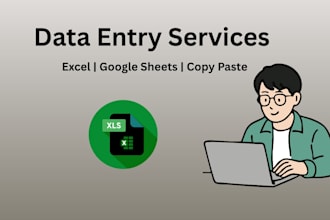 do accurate data entry, excel, copy paste, and google sheets work