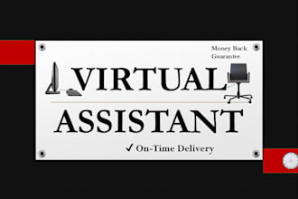 be your professional virtual assistant for email and live chat
