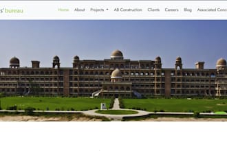 manage your projects, delivery and team as a professional project manager