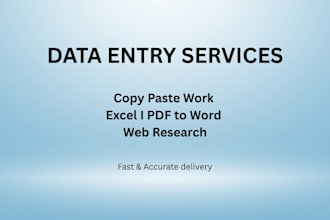 do accurate and hardworking freelancer I provide fast and accurate data entry