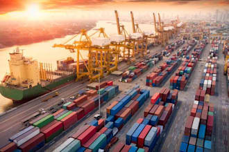 be your expert project manager for e commerce and physical operations