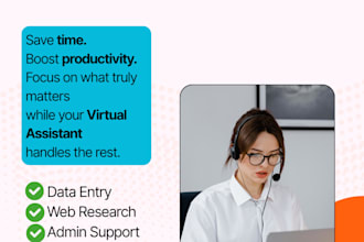 be your virtual assistant for data entry and online support