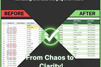 do expert excel data cleaning, formatting, and data merging in 24 hours