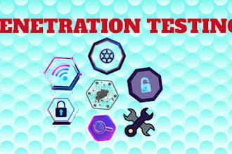 perform vulnerability and penetration testing  for you