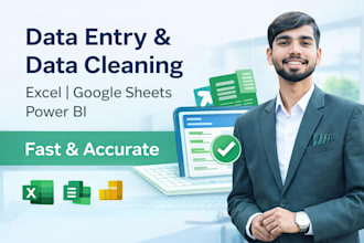 do accurate data entry and data cleaning in excel