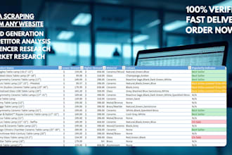 provide expert web scraping, data extraction and custom web research