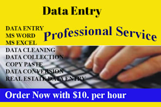 professional data entry virtual assistant