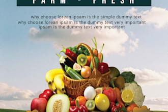 design professional flyer or poster within 24 hours