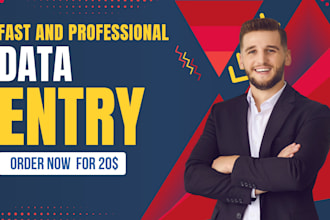 do accurate data entry in excel or google sheets