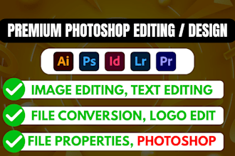 do file conversion pdf, xls, ppt, image, logo edit, photoshop editing doc