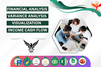 do financial, variance analysis of income, cash flow, balance sheets assignments
