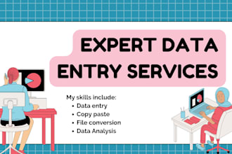 professional data entry services with fast turnaround