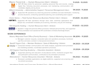 create ats friendly CV in english turkish and german
