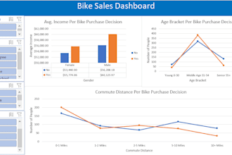 create professional excel mis reports and dashboards