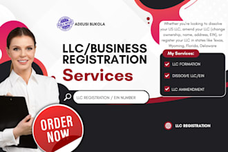 do US llc registration USA business registration ein UK company setup
