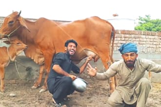 do happy birthday video or africa happy birthday video