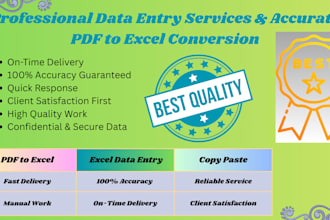 do accurate PDF to excel conversion and excel data entry