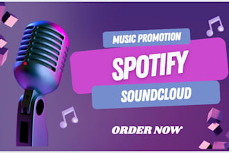 do spotify music promotion spotify promotion spotify marketing