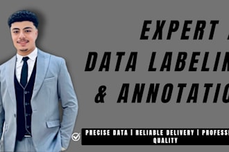 do accurate ai data labeling and annotation