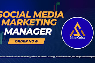do social media marketing for instagram facebook ad tiktok shop