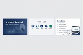 academic research and data analytics support