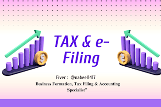 prepare US tax filing services for individuals and llcs and corporate clients