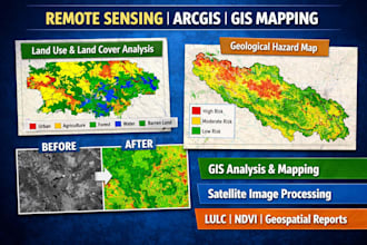 help with gis and remote sensing projects and assignments