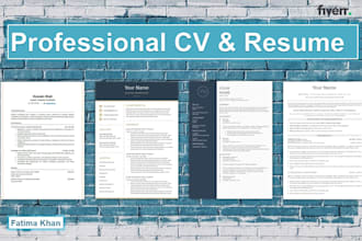write a professional ats friendly CV or resume