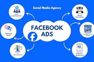 setup and manage facebook and meta ads campaigns