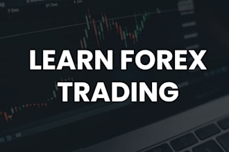 provide a 1 on 1 forex trading masterclass for beginners