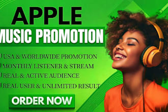 do apple itunes music promotion playlist pitching music pro campaign