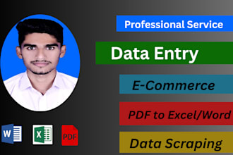 do help with data entry and e commerce data job