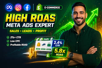 manage and optimize your meta ads for profitable results roas and sales